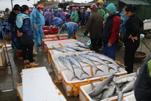 Hối hả nơi cảng Cửa Sót tháng cuối năm