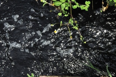 Dân “kêu trời” vì ô nhiễm