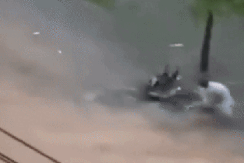 Bảo vệ chung cư lao ra dòng nước xiết cứu 2 mẹ con - 1