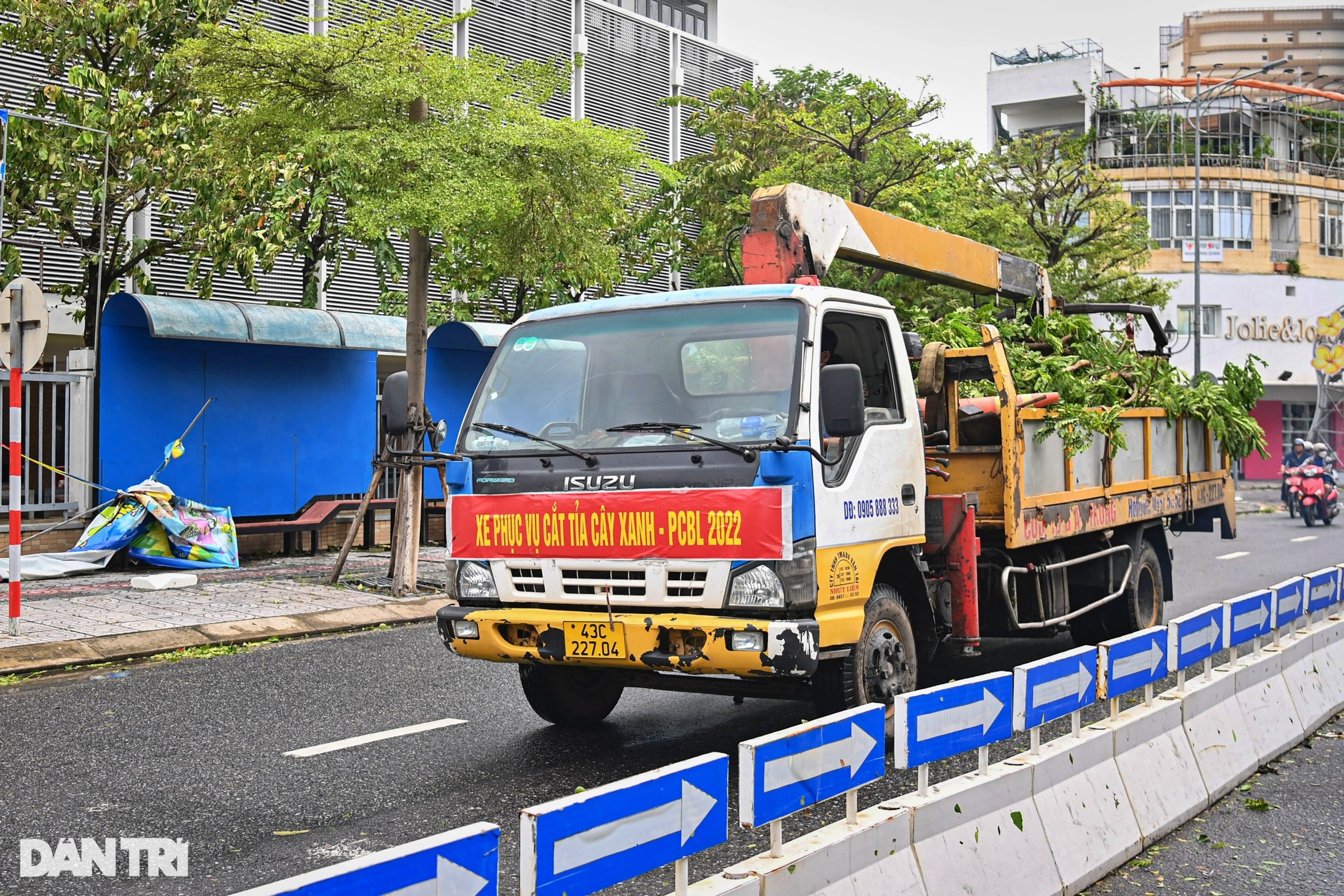 Người dân Đà Nẵng thở phào, khẩn trương dọn dẹp hậu quả sau bão - 7 Người dân Đà Nẵng thở phào, khẩn trương dọn dẹp hậu quả sau bão - 7