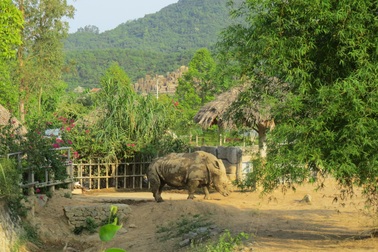 Khu du lịch sinh thái Diễm Lâm: Nơi trải nghiệm cung bậc cuộc sống