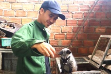 Cử nhân rời phố về quê nuôi con "ngủ ngày, cày đêm" thu trăm triệu đồng/năm