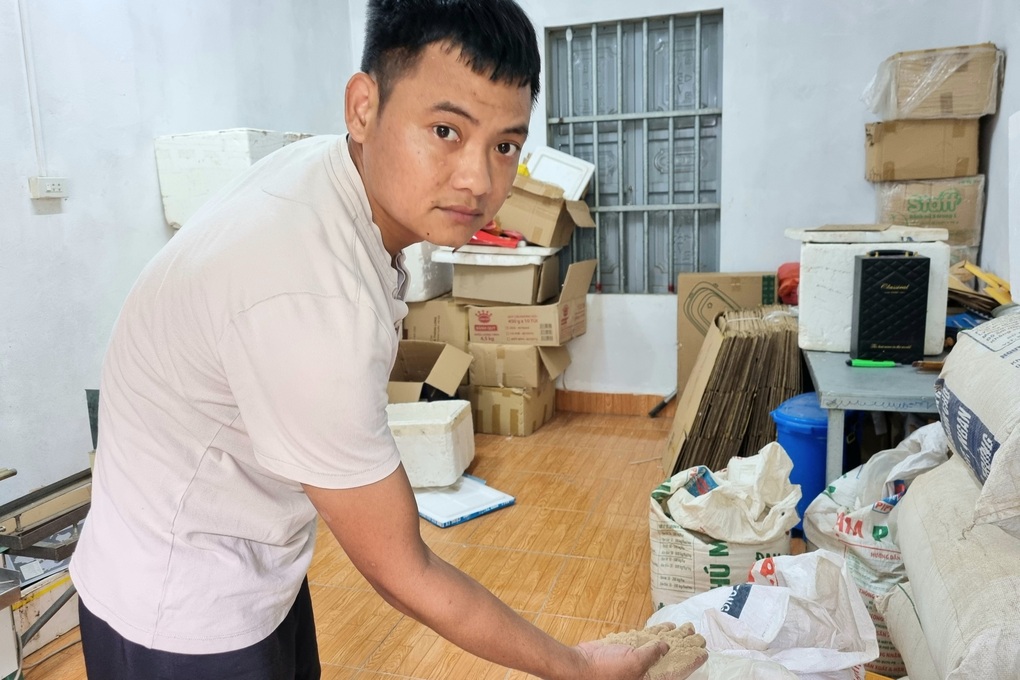 Trồng loại cỏ lạ, thu hoạch từ lá đến rễ, tháng kiếm hàng chục triệu đồng - 4 Trồng loại cỏ lạ, thu hoạch từ lá đến rễ, tháng kiếm hàng chục triệu đồng - 4
