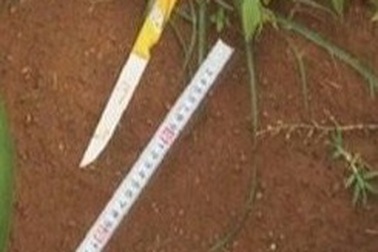 Hai nghi can sát hại chủ nhà trọ ra đầu thú