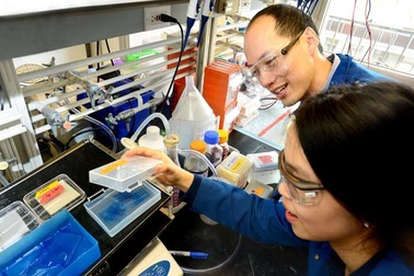 Nghiên cứu mới: Đồng có vai trò quan trọng trong việc đốt cháy mỡ