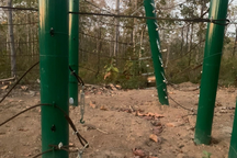 Nhiều người phải bỏ chạy khi đàn voi rừng xuất hiện