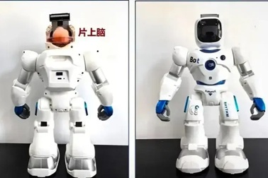 Trung Quốc tạo ra robot được điều khiển bằng một khối tế bào não người