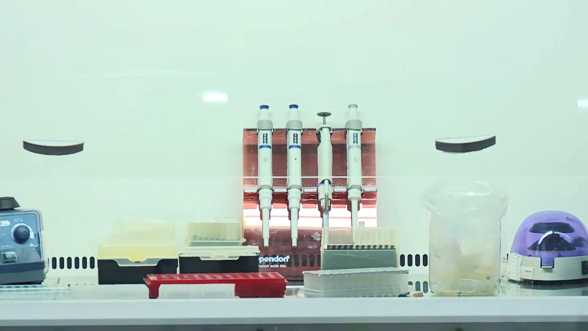 Đại học Thái Nguyên nghiên cứu thành công bộ sinh phẩm xét nghiệm Covid-19 - 5 Đại học Thái Nguyên nghiên cứu thành công bộ sinh phẩm xét nghiệm Covid-19 - 5