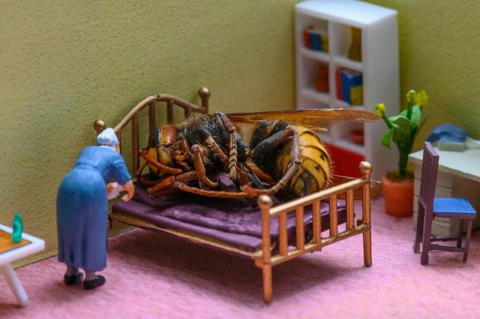 Sửng sốt trước thế giới mở ra từ những món đồ vật thường ngày - 18 Sửng sốt trước thế giới mở ra từ những món đồ vật thường ngày - 18