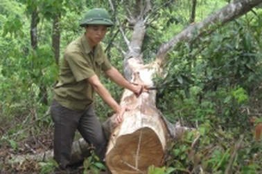 Trắng tay khi sắp thành “triệu phú” 