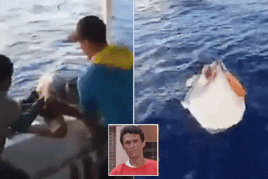 Sống sót sau đắm tàu nhờ tủ đông, lạc trên hoang đảo sống nhờ 2 quả chanh