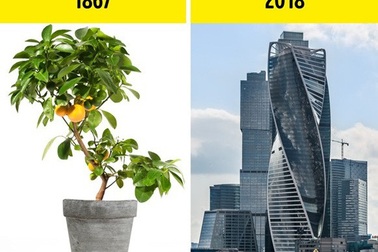 Những phát hiện khoa học tình cờ làm thay đổi lịch sử nhân loại (Phần 1)