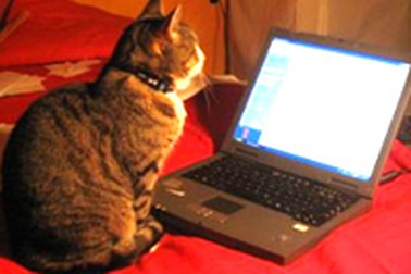 Những “bí kíp” kéo dài tuổi thọ pin laptop