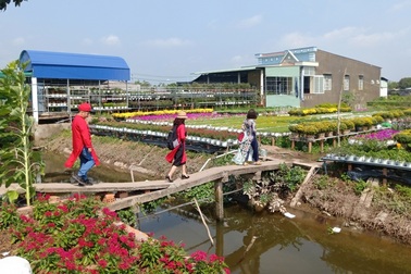 Thủ phủ hoa ở miền Tây khai mạc lễ hội hoa xuân