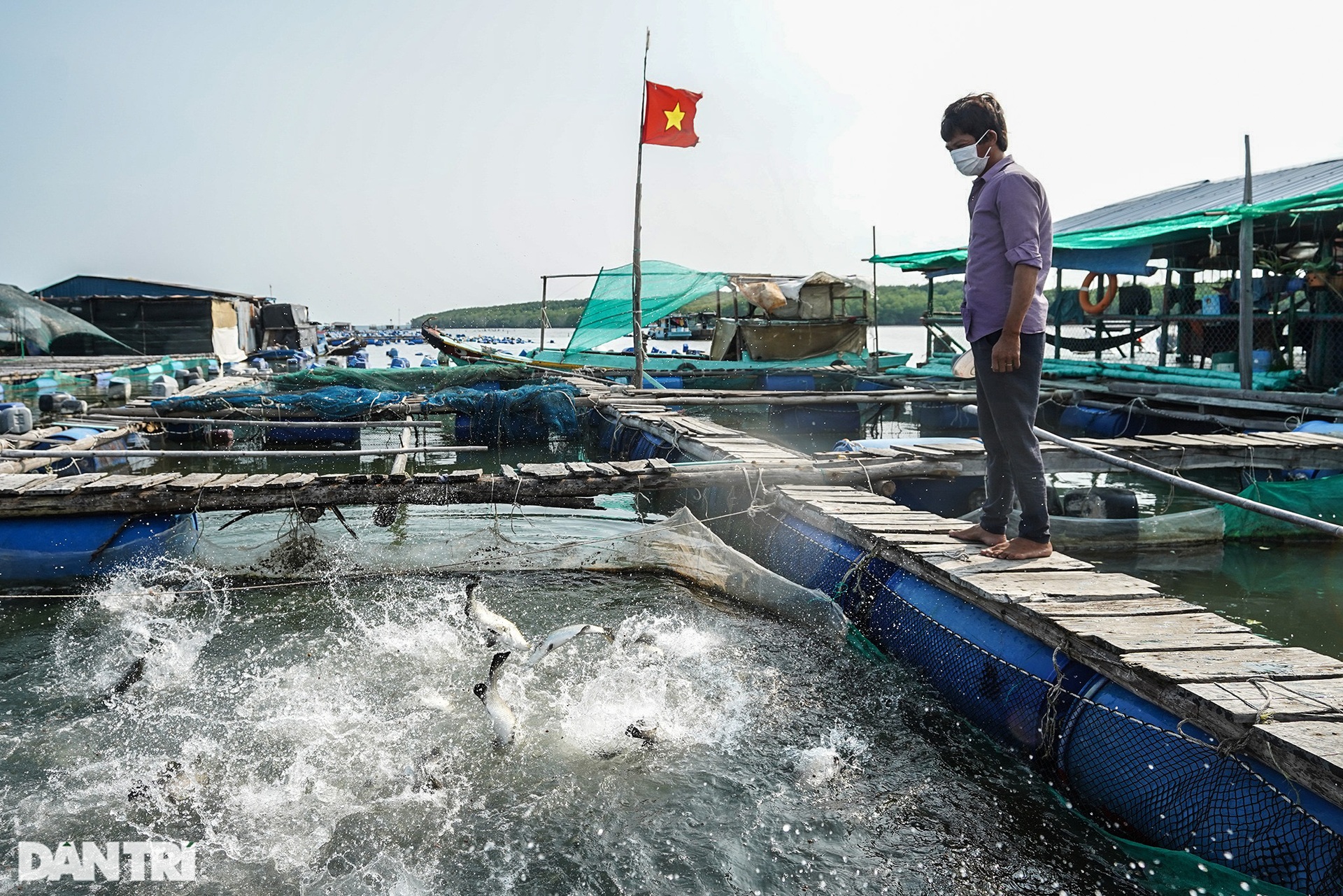 Trắng đêm bảo vệ vùng xanh trên biển tại xã đảo duy nhất ở TPHCM - 11 Trắng đêm bảo vệ vùng xanh trên biển tại xã đảo duy nhất ở TPHCM - 11