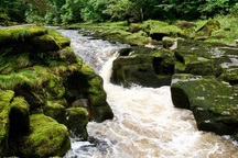 Dòng suối “ác quỷ” mang vẻ đẹp hiền hòa như tranh vẽ