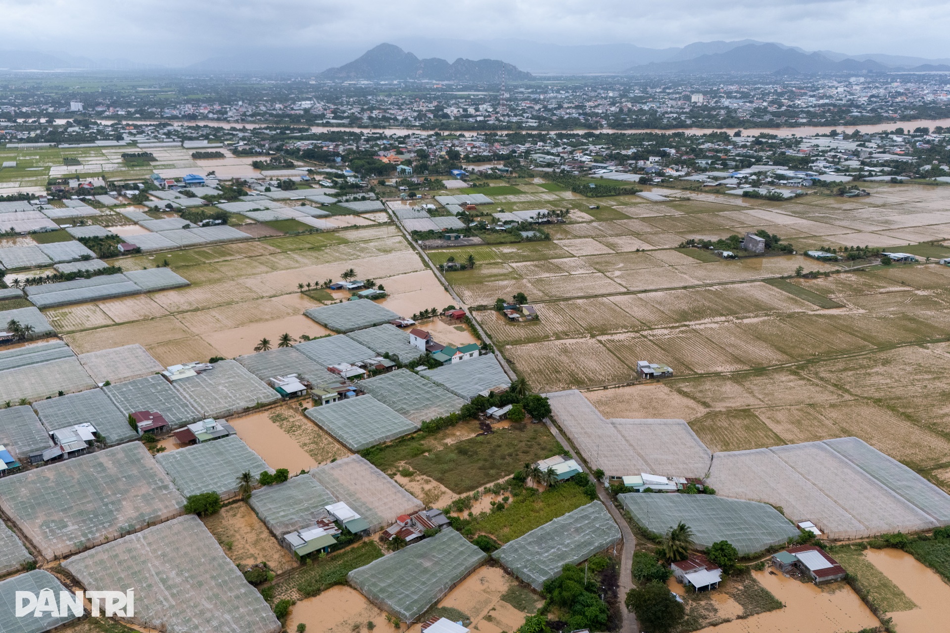 Cuộc sống hai không của người dân Phan Rang trong ngày thứ 5 chống lũ - 16