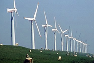 EVN mua phong điện với giá gấp đôi thủy điện