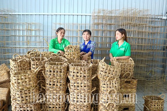 Một số sản phẩm thủ công của Hợp tác xã Hương Liên làm từ cây năn tượng. Ảnh: Baosoctrang.vn