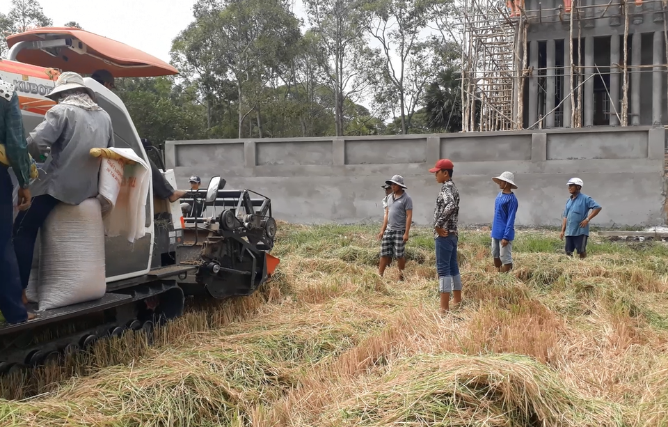 Cà Mau: Nhộn nhịp cảnh bắt chuột đồng trước thềm năm ông Tý - 1 Cà Mau: Nhộn nhịp cảnh bắt chuột đồng trước thềm năm ông Tý - 1