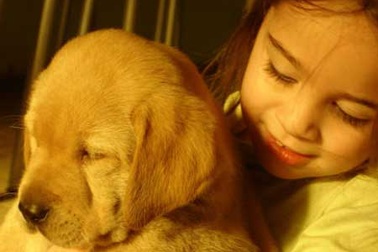 Hiểm họa lây bệnh từ vật nuôi