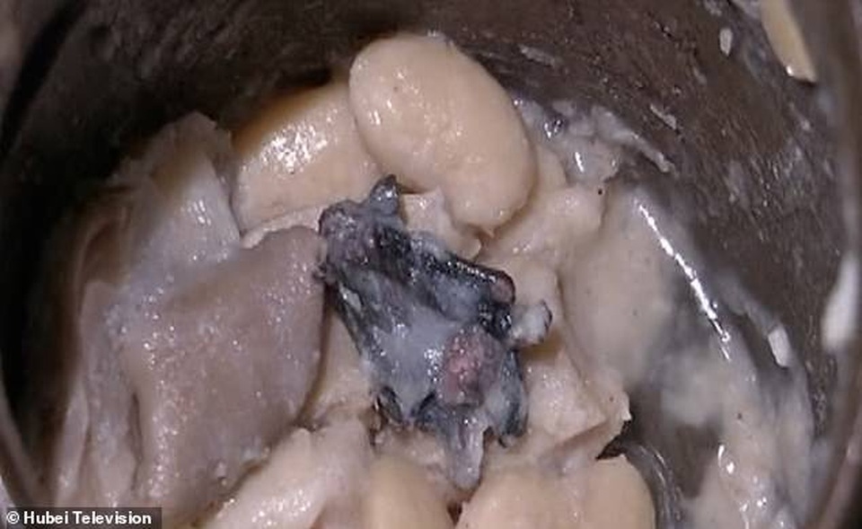 Vũ Hán: Rùng mình khi phát hiện dơi chết trong bát súp thịt heo gọi về - 3 Vũ Hán: Rùng mình khi phát hiện dơi chết trong bát súp thịt heo gọi về - 3