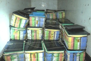 Bắt xe tải vận chuyển hơn 2 tấn tôm chứa tạp chất