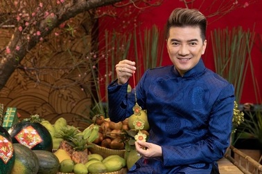 Đàm Vĩnh Hưng nói gì sau khi bà Nguyễn Phương Hằng bị bắt?