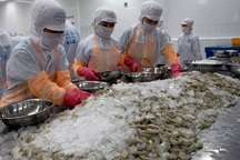 Vì sao Trung Quốc tăng cường kiểm soát hàng thủy sản đông lạnh nhập khẩu?