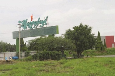 Đại gia vận hạn: Từ hoành tráng tỷ USD đến ngập trong nợ nần