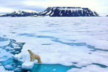 Các nhà khoa học dự đoán Bắc Cực là nơi phát sinh đại dịch tiếp theo