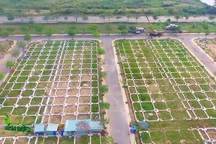 TPHCM công bố hàng loạt sai phạm xảy ra tại khu dân cư Nhơn Đức, Nhà Bè