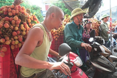 Thương lái nườm nượp thu mua vải Thanh Hà chín sớm