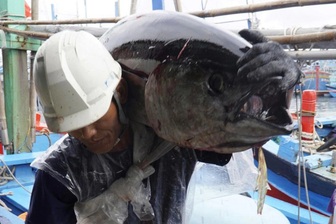 Săn “thủy quái” đại dương, ngư dân trúng đậm chuyến biển ngày giáp Tết