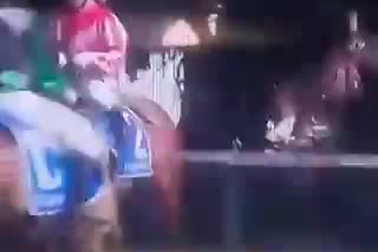 Hai người đàn ông khỏa thân chạy ngay gần trường đua ngựa