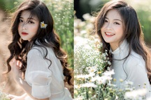 Cựu nữ sinh Ngoại thương đẹp dịu dàng bên cúc họa mi đầu mùa