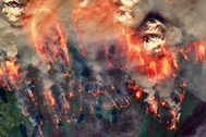 “Đám cháy xác sống” bùng phát ở Bắc Cực