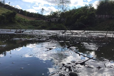 Sẽ xử lý dứt điểm vụ trang trại lợn "tra tấn" người dân tại Nghệ An