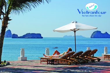 Những tour biển mùa hè hút khách