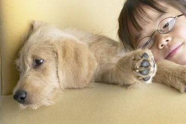 Lưu ý khi cho trẻ chơi với vật nuôi