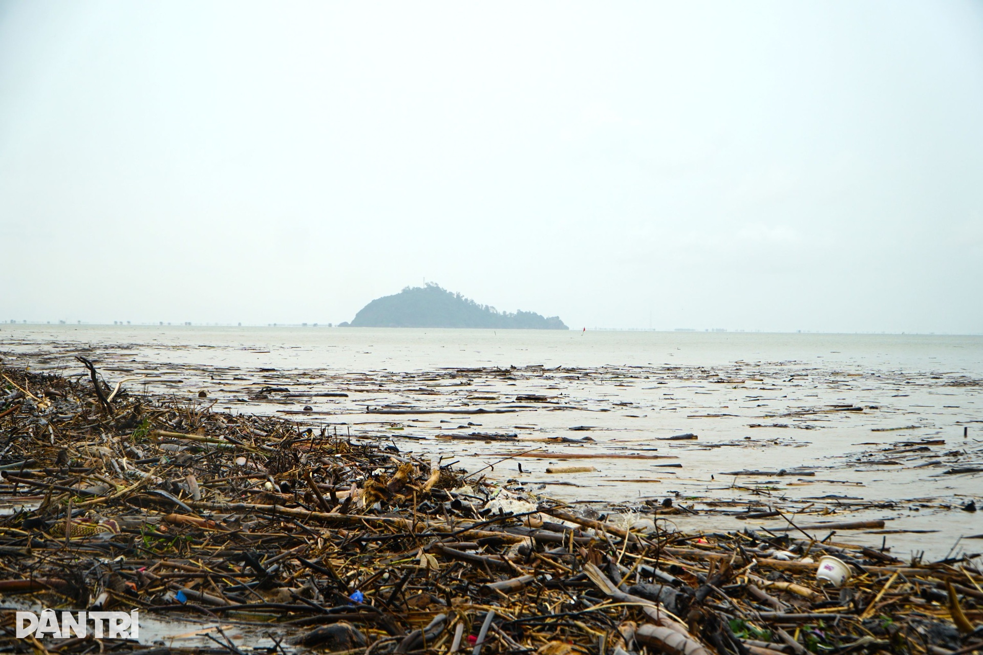 Bờ biển Hải Tiến như bãi chông sau bão Bualoi - 11 Bờ biển Hải Tiến như bãi chông sau bão Bualoi - 11