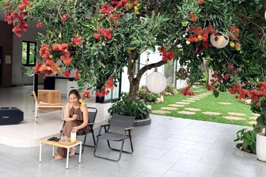 Vợ chồng bỏ phố về quê, xây nhà trên đất 6.000m² có cây chôm chôm gây sốt