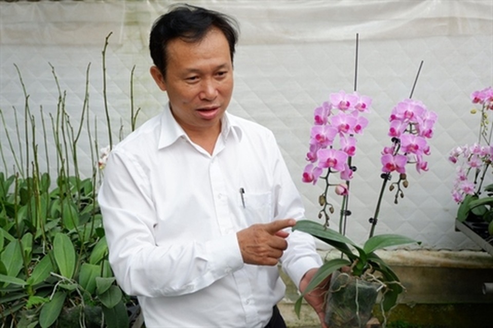 Trái đắng Phi điệp đột biến: Sắp nhiều như lan Hồ điệp - 1 Trái đắng Phi điệp đột biến: Sắp nhiều như lan Hồ điệp - 1