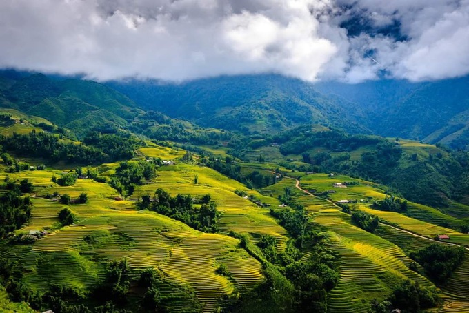 Vẻ đẹp quyến rũ của Sa Pa mùa lúa chín - Ảnh 3. Vẻ đẹp quyến rũ của Sa Pa mùa lúa chín - Ảnh 3.