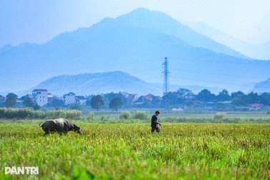Nhịp sống dưới chân núi Ba Vì, nơi đề xuất sáp nhập về Hà Nội