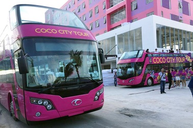 Xe buýt 2 tầng mui trần tại Việt Nam có giá bao nhiêu?