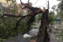 Bão số 12 quần thảo Khánh Hòa - Phú Yên - Bình Định nhiều giờ