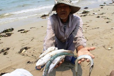 Bộ Nông nghiệp lên phương án hỗ trợ người dân vùng cá chết