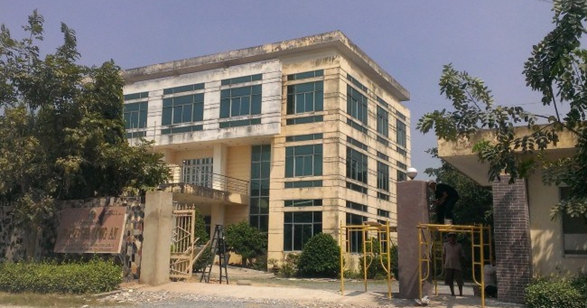 dantri.com.vn