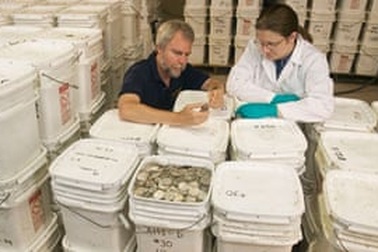 Tây Ban Nha chiếm được kho báu “nửa tỉ đô” từ thuyền chiến bị đắm